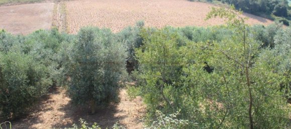 3 Schlafzimmer Haus in Rio Maior, Portugal, Nr. 257975 36