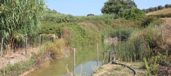 3 Schlafzimmer Haus in Rio Maior, Portugal, Nr. 257975 28