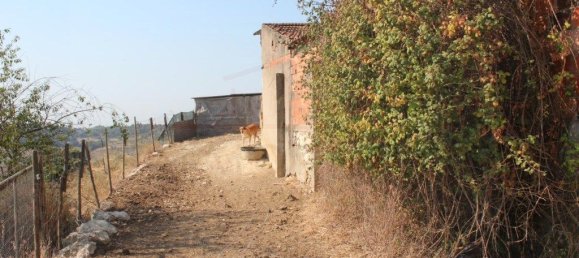 3 Schlafzimmer Haus in Rio Maior, Portugal, Nr. 257975 18