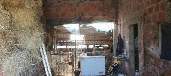 3 Schlafzimmer Haus in Rio Maior, Portugal, Nr. 257975 23