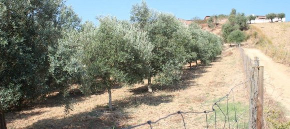 3 Schlafzimmer Haus in Rio Maior, Portugal, Nr. 257975 34