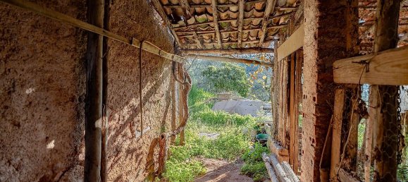 3 bedrooms House in Coimbra, Portugal No. 173283 12