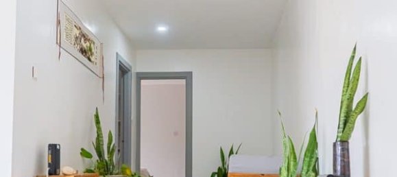 3 غرف نوم عقار تجاري في Egmont, Grenada رقم 2 12