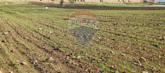 1-salle Terrain à Pachino, Italy No. 126638 5