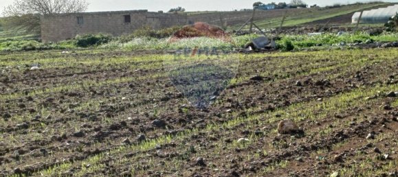 1-salle Terrain à Pachino, Italy No. 126638 7