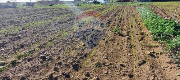 1-salle Terrain à Pachino, Italy No. 126638 8