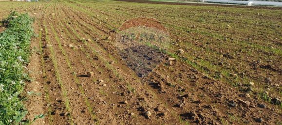 1-salle Terrain à Pachino, Italy No. 126638 4