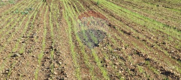 1-salle Terrain à Pachino, Italy No. 126638 10