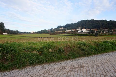  Land in Barcelos, Portugal No. 205219