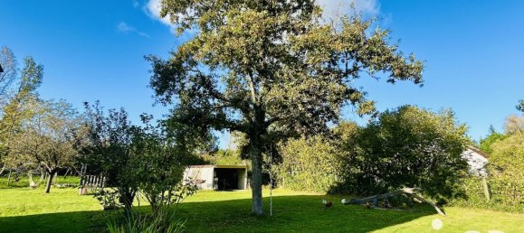 4-Zimmer Haus in Saint-Laurent-Nouan, France, Nr. 220536 9