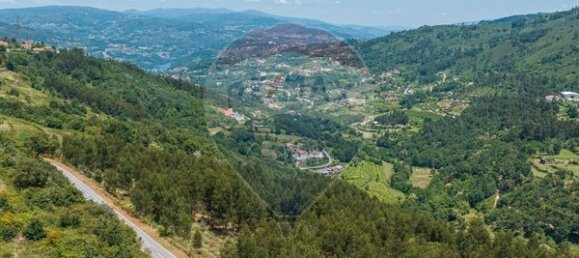 61550m² Land in Sao Cristovao de Nogueira, Portugal No. 88094 4