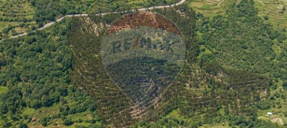 61550m² Land in Sao Cristovao de Nogueira, Portugal No. 88094 5