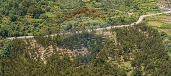 61550m² Land in Sao Cristovao de Nogueira, Portugal No. 88094 6