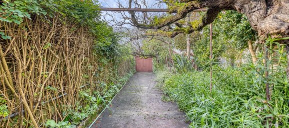 9 bedrooms House in Povoa de Varzim, Portugal No. 173517 4