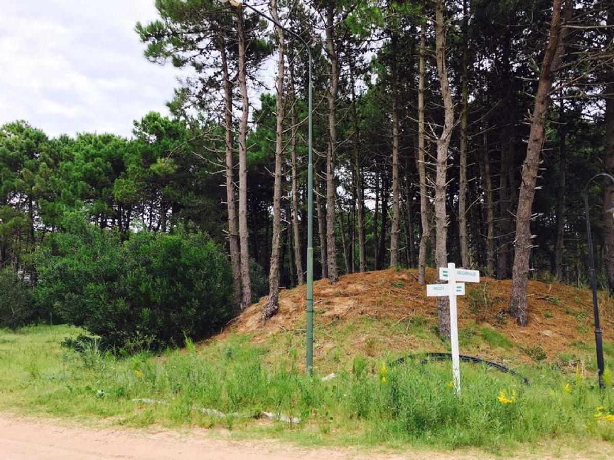 Grundstück in Mar del Plata, Argentina, Nr. 110608