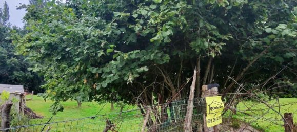 Terreno en Cantabria, Spain No. 133884 7