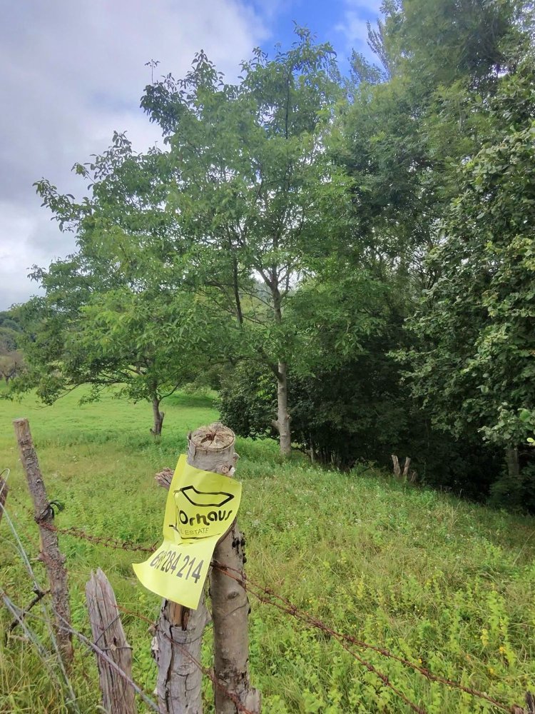 Terreno en Cantabria, Spain No. 133884