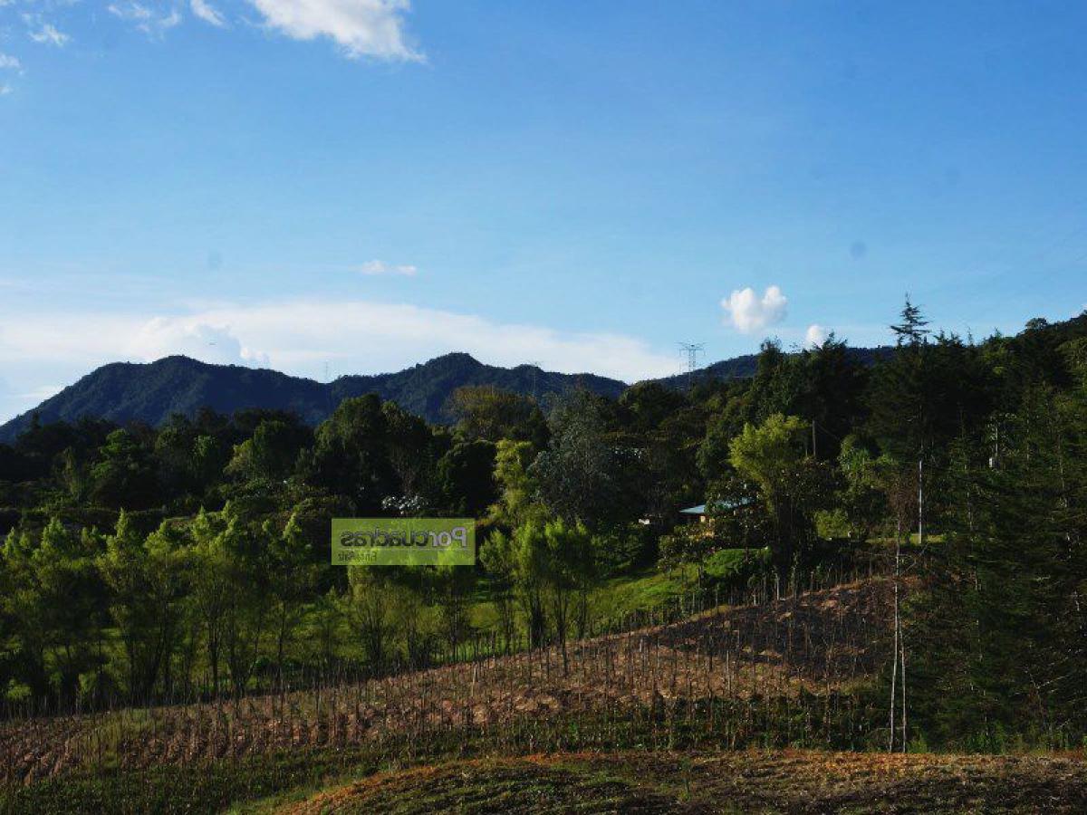  قطعة أرض في Antioquia, Colombia رقم 411