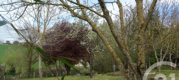 Grundstück in Auterive, France, Nr. 76646 5