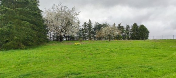 Grundstück in Erzgebirgskreis, Germany, Nr. 295032 13