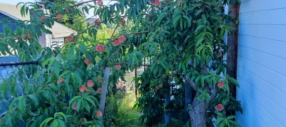 Grundstück in Erzgebirgskreis, Germany, Nr. 295032 10