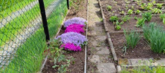 Grundstück in Erzgebirgskreis, Germany, Nr. 295032 3