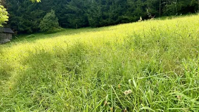  قطعة أرض في Gröbming, Austria رقم 213665