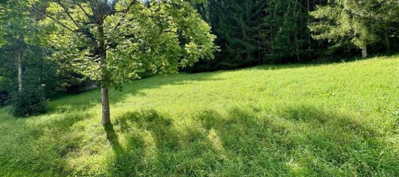  قطعة أرض في Gröbming, Austria رقم 213665 5