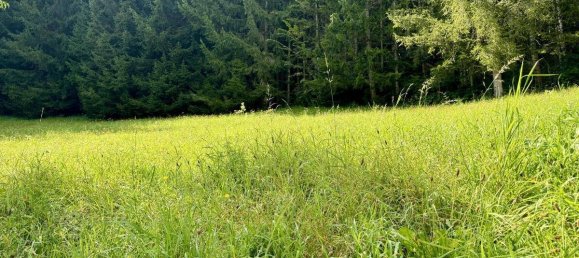  قطعة أرض في Gröbming, Austria رقم 213665 8