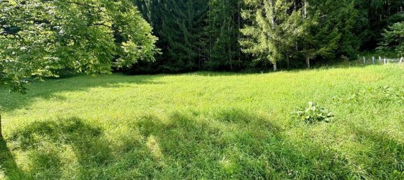  قطعة أرض في Gröbming, Austria رقم 213665 6