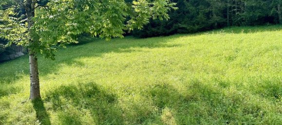  قطعة أرض في Gröbming, Austria رقم 213665 7