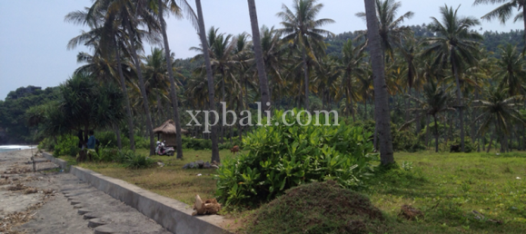 Terrain à West Nusa Tenggara, Indonesia 2403m² No. 4143 3