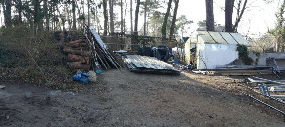  Land in Dahme-Spreewald, Germany No. 116627 16