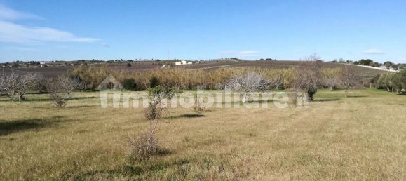 6 bedrooms House in Noto, Italy No. 59327 67