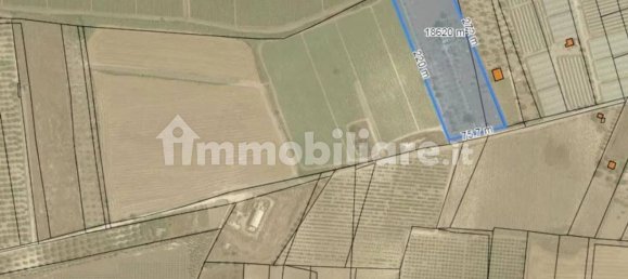 6 bedrooms House in Noto, Italy No. 59327 4