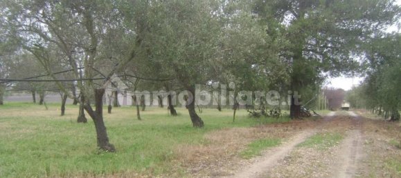 6 bedrooms House in Noto, Italy No. 59327 55