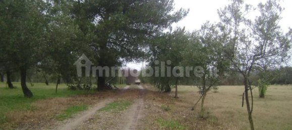 6 bedrooms House in Noto, Italy No. 59327 51