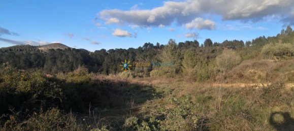  قطعة أرض في Valencia, Spain 2273متر مربع رقم 159584 3