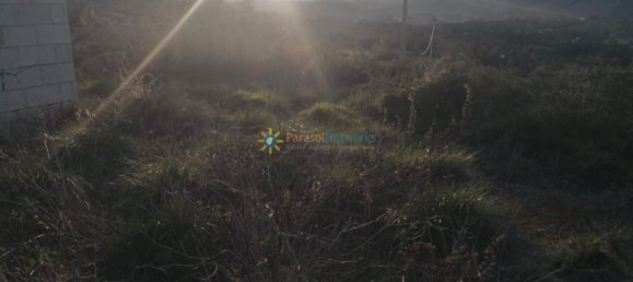  قطعة أرض في Valencia, Spain 2273متر مربع رقم 159584 6