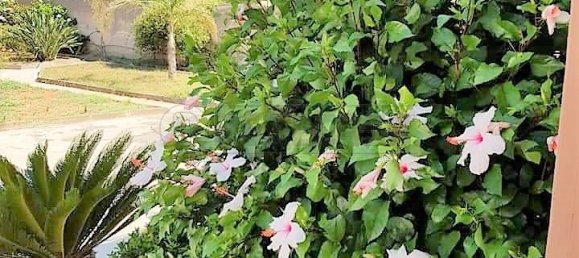 4 bedrooms Apartment in Syracuse, Italy No. 250569 4