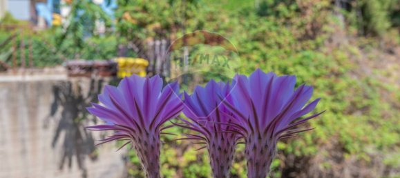 2 bedrooms Apartment in Caltagirone, Italy No. 321175 23