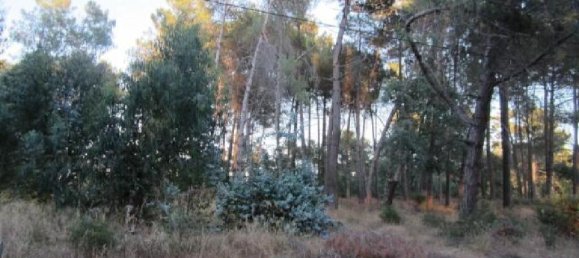  قطعة أرض في Setubal, Portugal 204متر مربع رقم 66135 2