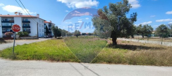 Terreno en Granja do Ulmeiro, Portugal 3920 m² No. 16202 4