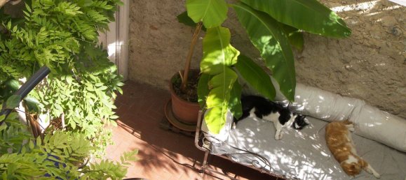 3 bedrooms Townhouse in La Gaude, France No. 327747 5