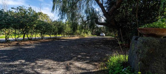 295m² Commercial property in Mascali, Italy No. 124291 12