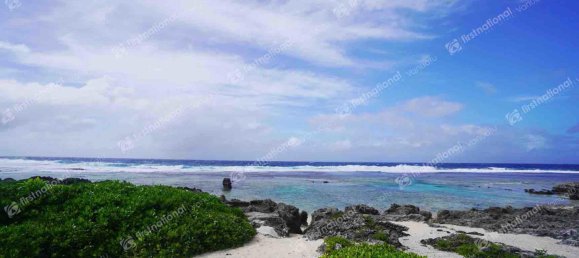 Дом с 3 спальнями в Порт-Вила, Вануату № 26 11