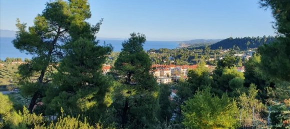 Вилла с 3 спальнями в Халкидики, Греция № 1431 13