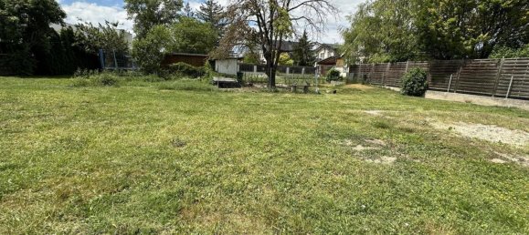 Terreno em Tulln an der Donau, Austria N.º 76955 2