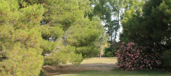 11 rooms House in Grosseto, Italy No. 69492 2