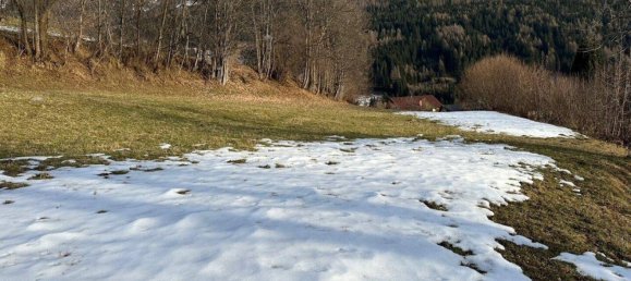 Terreno en Radenthein, Austria No. 13019 12